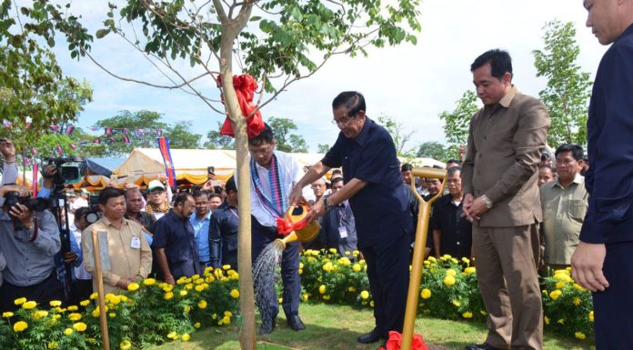 សម្តេចតេជោ ហ៊ុន សែន អញ្ជើញដាំកូនឈើនៅ «ឧទ្យានរាជបណ្ឌិត្យសភាកម្ពុជា តេជោសែន ឫស្សីត្រឹប» ក្នុងខេត្តព្រះវិហារ