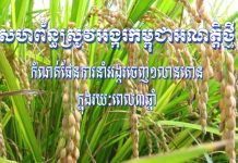 សូមទស្សនា បទយកការណ៍ សហព័ន្ធស្រូវអង្ករកម្ពុជាអណត្តិថ្មី កំណត់ផែនការនាំអង្ករចេញ១លានតោន ក្នុងរយៈពេល៣ឆ្នាំ