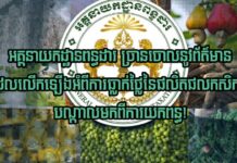 អគ្គនាយកដ្ឋានពន្ធដារ ច្រានចោលនូវព័ត៌មានដែលលើកឡើងអំពីការធ្លាក់ថ្លៃនៃផលិតផលកសិកម្មបណ្តាលមកពីការយកពន្ធ!