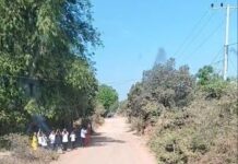 សម្តេចធិបតី ហ៊ុន ម៉ាណែត ដាក់បទបញ្ជាឱ្យត្រួតពិនិត្យ និងណែនាំពីលក្ខណៈបច្ចេកទេសស៊ីផ្លេរថយន្ត ដើម្បីទប់ស្កាត់ភាពអនាធិបតេយ្យតាមដងផ្លូវ ក្រោយផ្ទុះសកម្មភាពយុវជន និងកុមាររាំលេងតាមដងផ្លូវ ទៅតាមចង្វាក់ស៊ីផ្លេបែបភ្លេងរបស់រថយន្ត