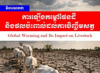 វិចារណកថា៖ ការឡើងកម្ដៅផែនដី និងផលប៉ះពាល់ដល់ការចិញ្ចឹមសត្វ