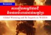 វិចារណកថា៖ ការឡើងកម្ដៅផែនដី និងផលប៉ះពាល់ដល់សត្វព្រៃ