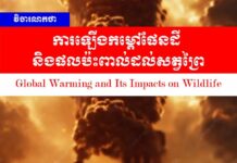 វិចារណកថា៖ ការឡើងកម្ដៅផែនដី និងផលប៉ះពាល់ដល់សត្វព្រៃ