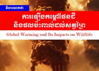 វិចារណកថា៖ ការឡើងកម្ដៅផែនដី និងផលប៉ះពាល់ដល់សត្វព្រៃ