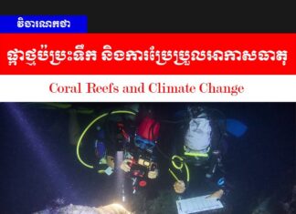 វិចារណកថា៖ ផ្កាថ្មប៉ប្រះទឹក និងការប្រែប្រួលអាកាសធាតុ