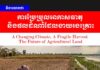 វិចារណកថា! ការប្រែប្រួលអាកាសធាតុ និងផលដំណាំដែលងាយរងគ្រោះ៖ អនាគតនៃដីកសិកម្ម