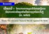 វិចារណកថា! ដើមឈើ៖ ខែលការពារធម្មជាតិដ៏មានឥទ្ធិពលបំផុតរបស់យើងប្រឆាំងនឹងបាតុភូតអែលនីញ៉ូ (El Niño)