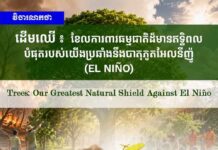 វិចារណកថា! ដើមឈើ៖ ខែលការពារធម្មជាតិដ៏មានឥទ្ធិពលបំផុតរបស់យើងប្រឆាំងនឹងបាតុភូតអែលនីញ៉ូ (El Niño)