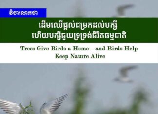 Editorial:Trees Give Birds a Home—and Birds Help Keep Nature Alive