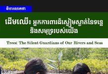 វិចារណកថា! ដើមឈើ៖ អ្នកការពារដ៏ស្ងៀមស្ងាត់នៃទន្លេ និងសមុទ្ររបស់យើង