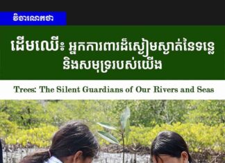វិចារណកថា! ដើមឈើ៖ អ្នកការពារដ៏ស្ងៀមស្ងាត់នៃទន្លេ និងសមុទ្ររបស់យើង