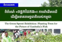 វិចារណកថា៖ ពិព័រណ៍ «ពន្លកបៃតង»៖ ការដាំដើមឈើដើម្បីអនាគតមច្ឆជាតិរបស់កម្ពុជា