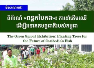 វិចារណកថា៖ ពិព័រណ៍ «ពន្លកបៃតង»៖ ការដាំដើមឈើដើម្បីអនាគតមច្ឆជាតិរបស់កម្ពុជា