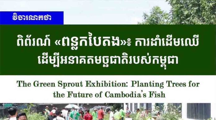វិចារណកថា៖ ពិព័រណ៍ «ពន្លកបៃតង»៖ ការដាំដើមឈើដើម្បីអនាគតមច្ឆជាតិរបស់កម្ពុជា