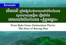 វិចារណកថា ៖ ដើមឈើ ញ៉ាំងឱ្យតំបន់គោលដៅលំហែបៃតងលូតលាស់រុងរឿង៖ រឿងរ៉ាវនៃគោលដៅលំហែបៃតង «ភ្នំខ្នងផ្សារ»