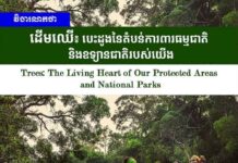 វិចារណកថា៖ ដើមឈើ៖ បេះដូងនៃតំបន់ការពារធម្មជាតិ និងឧទ្យានជាតិរបស់យើង