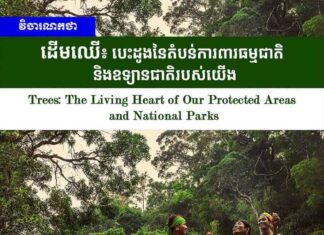 Editorial :Trees: The Living Heart of Our Protected Areas and National Parks