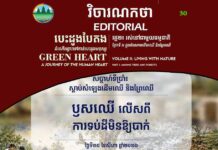 វិចារណកថា ៣០ – ឫសឈើ លើសពីការទប់ដីមិនឱ្យបាក់