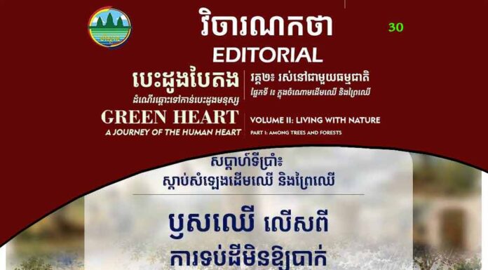 វិចារណកថា ៣០ – ឫសឈើ លើសពីការទប់ដីមិនឱ្យបាក់
