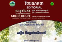 វិចារណកថា ២៩ – ដង្ហើម និងម្លប់នៃដើមឈើ