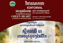 វិចារណកថា ៣១ – ស្លឹកឈើជារោងចក្រតូចៗនៃជីវិត