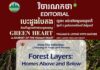 វិចារណកថា ៣៤ – ស្រទាប់ព្រៃឈើ៖ ជម្រករស់នៅផ្នែកខាងលើ និងខាងក្រោម