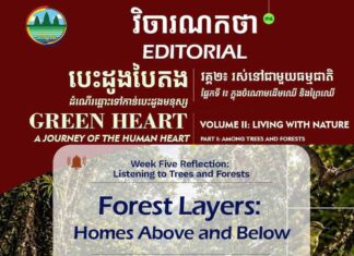 វិចារណកថា ៣៤ – ស្រទាប់ព្រៃឈើ៖ ជម្រករស់នៅផ្នែកខាងលើ និងខាងក្រោម