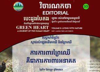 វិចារណកថា ៣៥ – ការការពារព្រៃឈើ គឺជាការការពារអនាគត