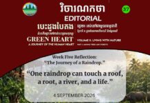 Editorial 37 – The Journey of a Raindrop