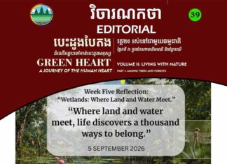 វិចារណកថា ៣៩ – តំបន់ដីសើម៖ កន្លែងដែលដី និងទឹកជួបគ្នា