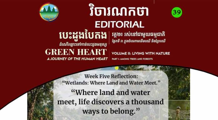 វិចារណកថា ៣៩ – តំបន់ដីសើម៖ កន្លែងដែលដី និងទឹកជួបគ្នា