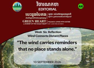 Editorial 44 – Wind Connects Distant Places