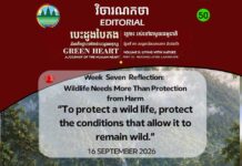 វិចារណកថា ៥០ – សត្វព្រៃត្រូវការលើសពីការការពារមិនឱ្យរងគ្រោះថ្នាក់