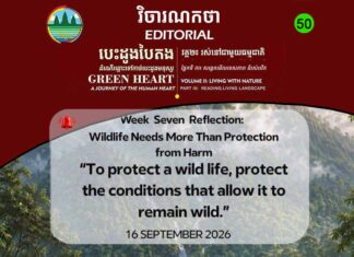 Editorial 50 – Wildlife Needs More Than Protection from Harm