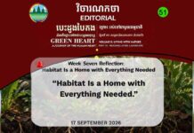 វិចារណកថា ៥១ – ទីជម្រកគឺជាផ្ទះដែលមានអ្វីៗចាំបាច់គ្រប់យ៉ាង