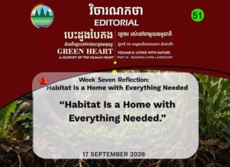 វិចារណកថា ៥១ – ទីជម្រកគឺជាផ្ទះដែលមានអ្វីៗចាំបាច់គ្រប់យ៉ាង