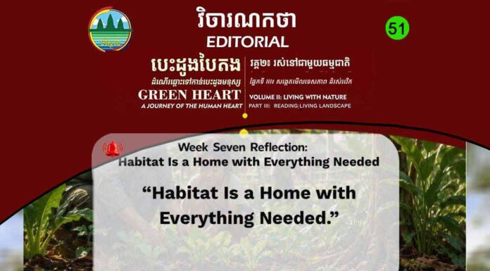 វិចារណកថា ៥១ – ទីជម្រកគឺជាផ្ទះដែលមានអ្វីៗចាំបាច់គ្រប់យ៉ាង