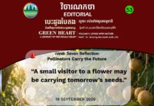 វិចារណកថា ៥៣ – ភ្នាក់ងារលម្អងផ្កានាំអនាគតមកជាមួយ
