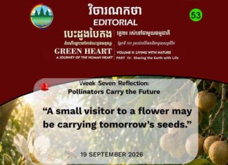 វិចារណកថា ៥៣ – ភ្នាក់ងារលម្អងផ្កានាំអនាគតមកជាមួយ