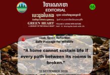 វិចារណកថា ៥៥ -ផ្លូវឆ្លងកាត់មានសុវត្ថិភាពសម្រាប់សត្វព្រៃ