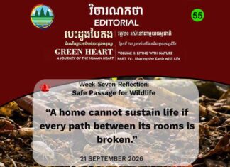វិចារណកថា ៥៥ -ផ្លូវឆ្លងកាត់មានសុវត្ថិភាពសម្រាប់សត្វព្រៃ