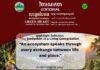 វិចារណកថា ៥៧ – ប្រព័ន្ធអេកូឡូស៊ី គឺជាការសន្ទនាដ៏រស់រវើក