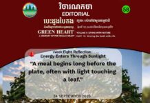 Editorial 58 – Energy Enters Through Sunlight