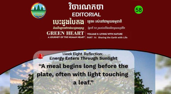 វិចារណកថា ៥៨ – ថាមពលចូលមកក្នុងប្រព័ន្ធជីវិត តាមរយៈពន្លឺព្រះអាទិត្យ