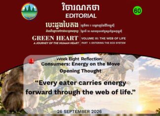 វិចារណកថា ៦០ – អ្នកប្រើប្រាស់៖ ថាមពលដែលបន្តដំណើរក្នុងបណ្ដាញជីវិត