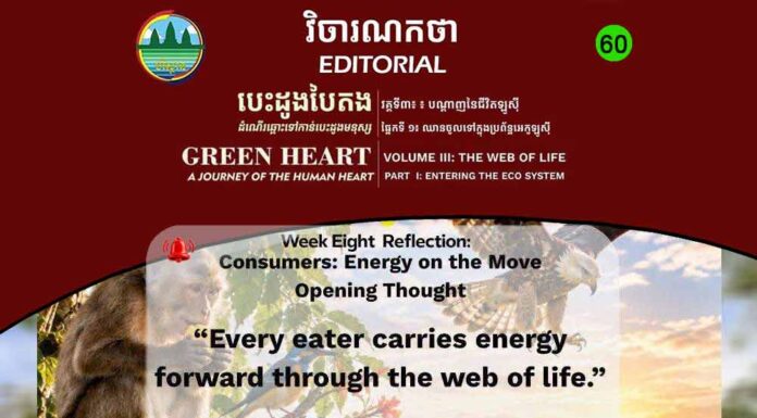 វិចារណកថា ៦០ – អ្នកប្រើប្រាស់៖ ថាមពលដែលបន្តដំណើរក្នុងបណ្ដាញជីវិត