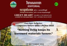 Editorial 61 – Decomposers Return What Life Has Used