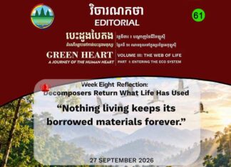 វិចារណកថា៦១ – អ្នកបំបែកសារធាតុ៖ ប្រគល់អ្វីដែលជីវិតបានខ្ចីទៅធម្មជាតិវិញ