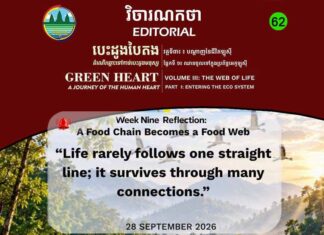 វិចារណកថា ៦២ – ខ្សែសង្វាក់អាហារ ក្លាយជាបណ្ដាញអាហារ