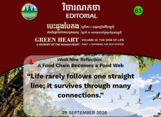វិចារណកថា ៦៣ – តុល្យភាពមានចលនា មិនមែននៅស្ងៀម